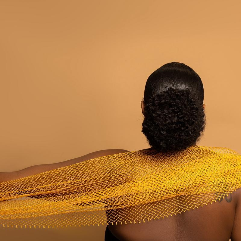 African Net Sponge